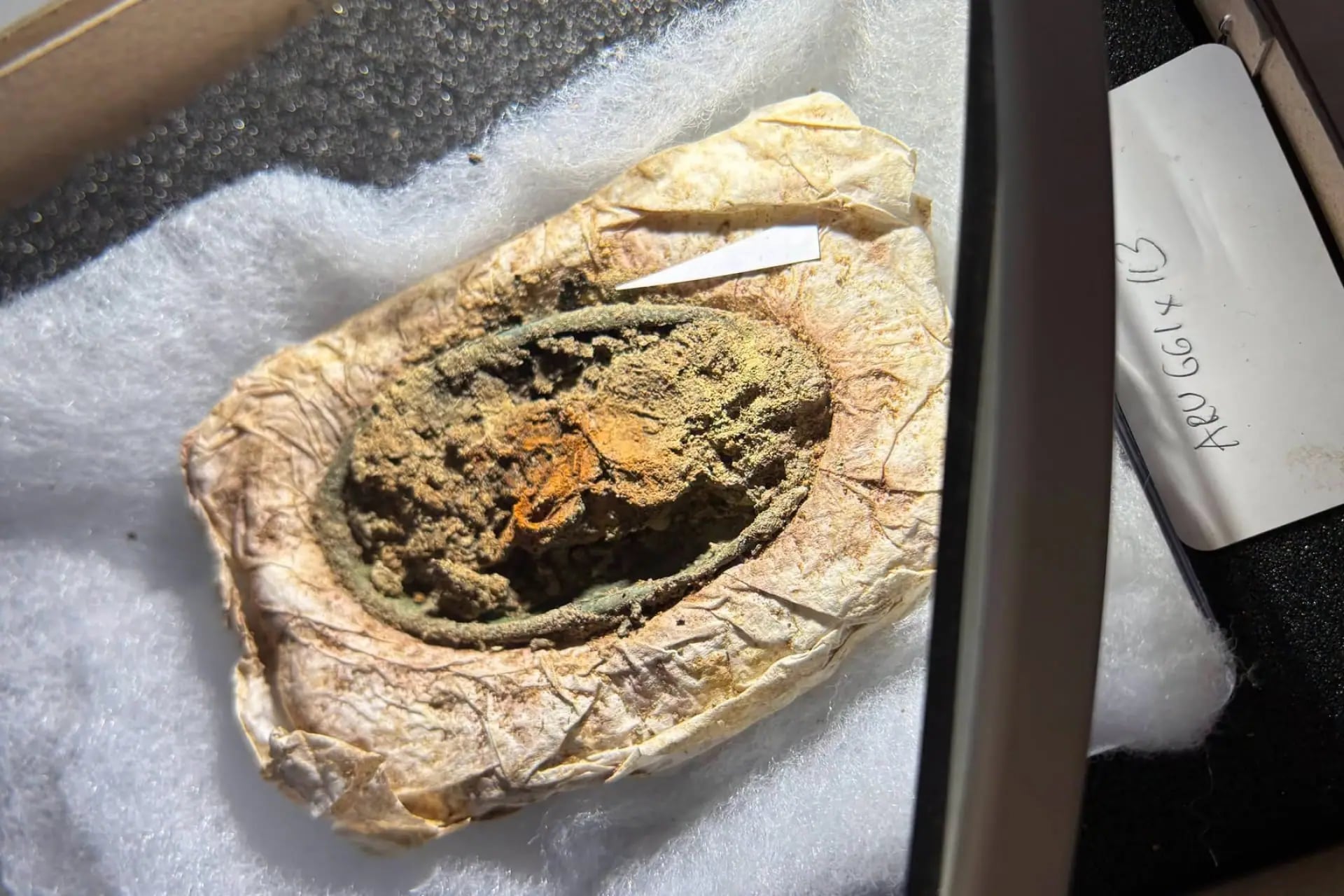1300 Yıllık Viking Kadın Elbisesi Bulundu: Korunma Nedeni Herkesi Şaşırttı