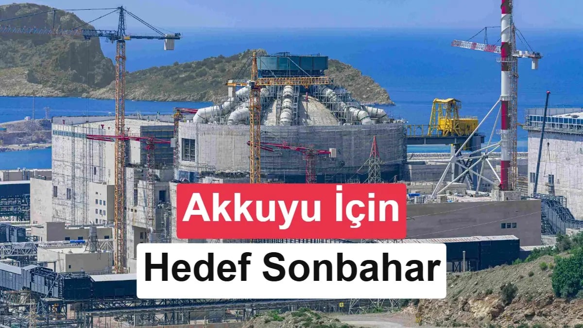Akkuyu NGS'nin Devreye Girişindeki Engeller