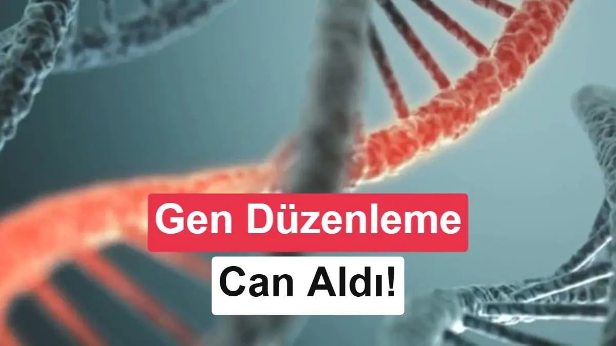 Çin Gen Düzenleme Skandalı: Araştırmalar İki Çocuğun Yaşamına Mali Oldu