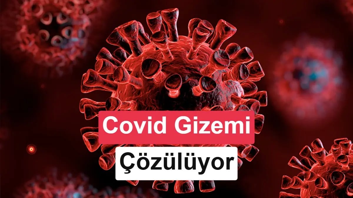COVID-19'da Sert Geçişin Gizemi Çözüldü: Bağışıklık Sistemi Neden Kendisine Saldırıyor?