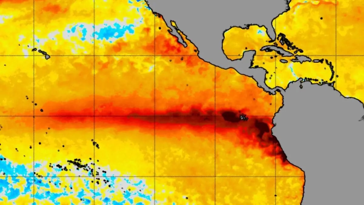 El Niño Tahminleri Rekorları Yeniyor: İklim Değişikliği Küresel Tehlikeyi Artırıyor