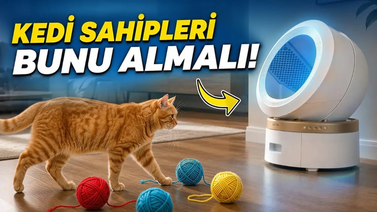 Evdeki Koku ve Temizlik Sorunlarına Teknolojiyle Son Veren Akıllı Kum Kabı