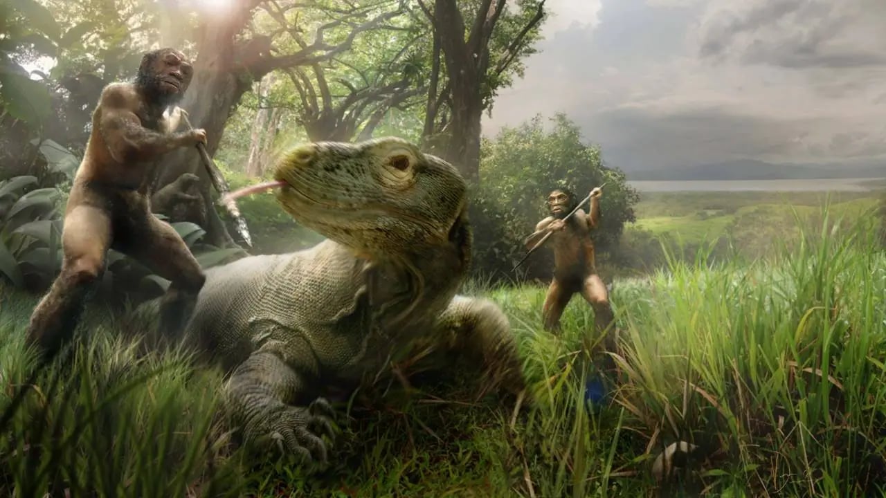 Hobbitler ve Komodo Ejderleri Arasındaki Bilinmeyen Bağlantı: Evrimsel Bir Teori