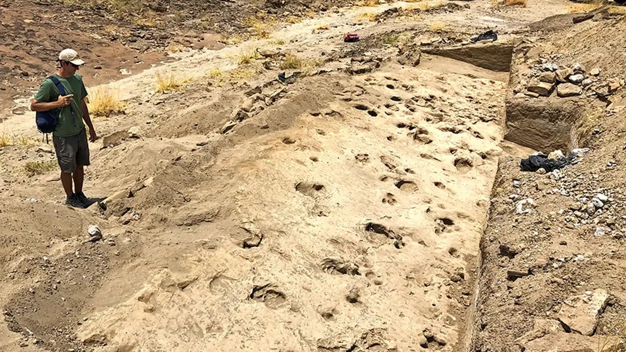 İnsan Evrimi Yeni Bir Dönemde: Göldeki İzi Yazıyor