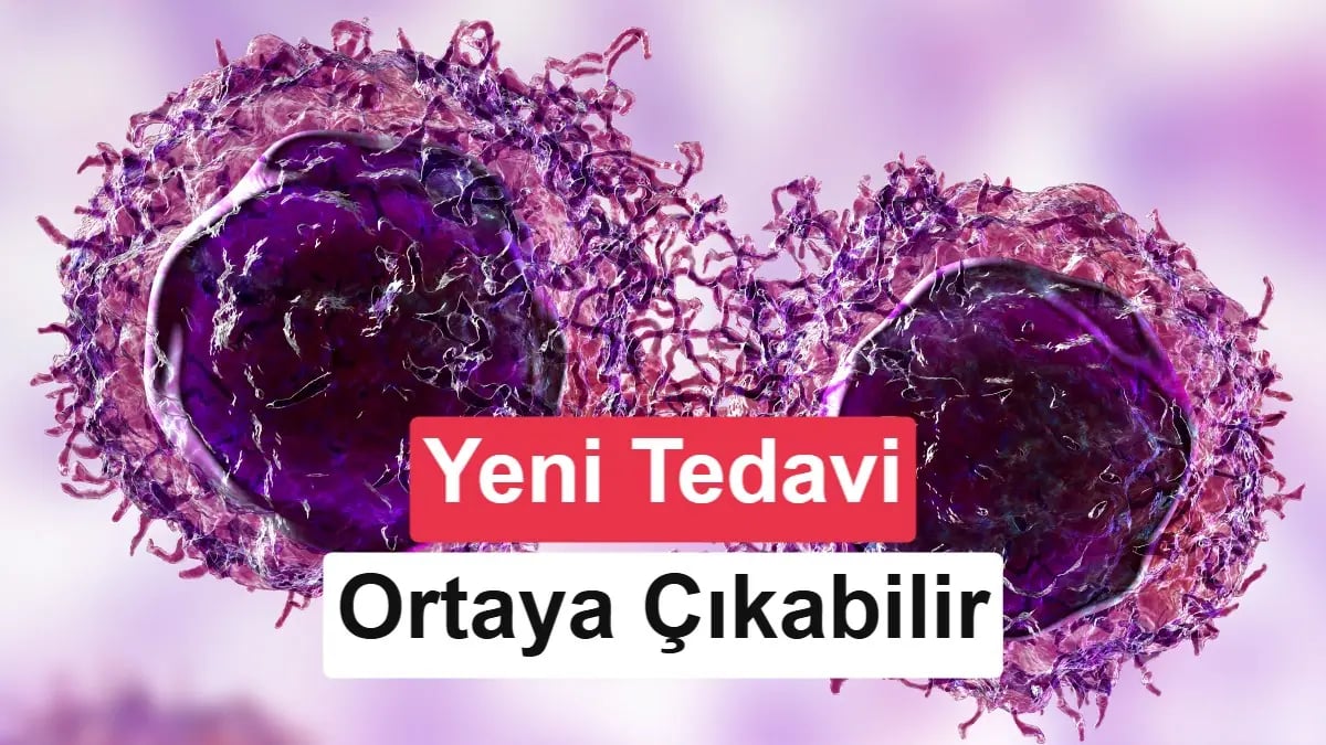 Kanser Savaşının Yeni Anahtarı: Zbtb38 Proteini Keşfedildi