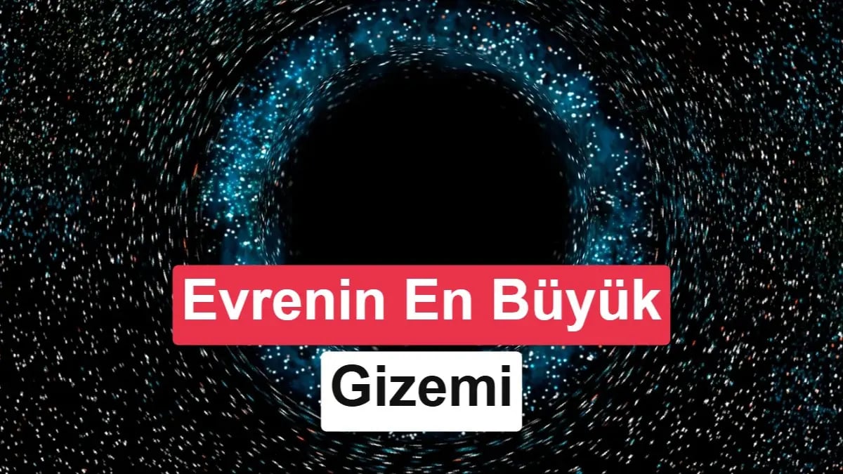 Kara Delik Gizemi Çözülüyor: Olay Ufkunun Parmak İzleri
