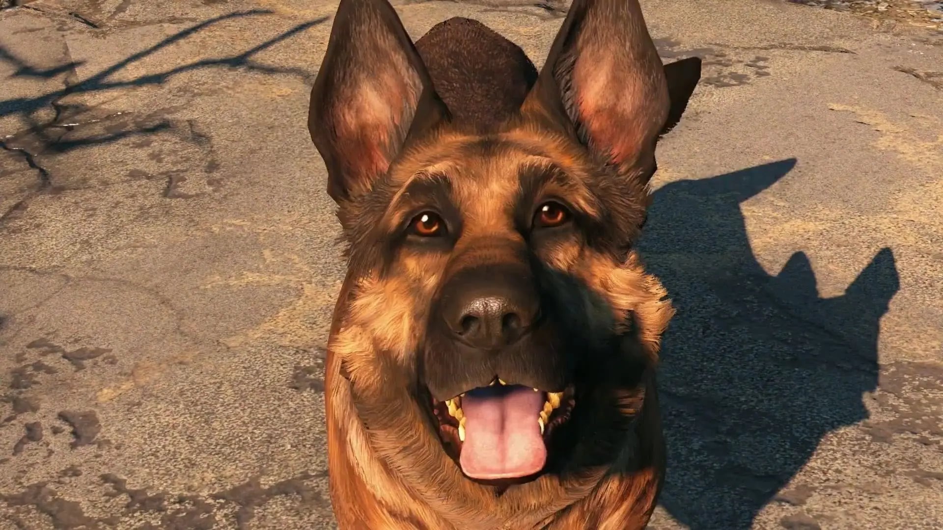 Obsidian, Bethesda Çatısı Altında Yaratıcı Kimliğini Koruyacak: Sızdırılan Memo Ortaya Çıktı