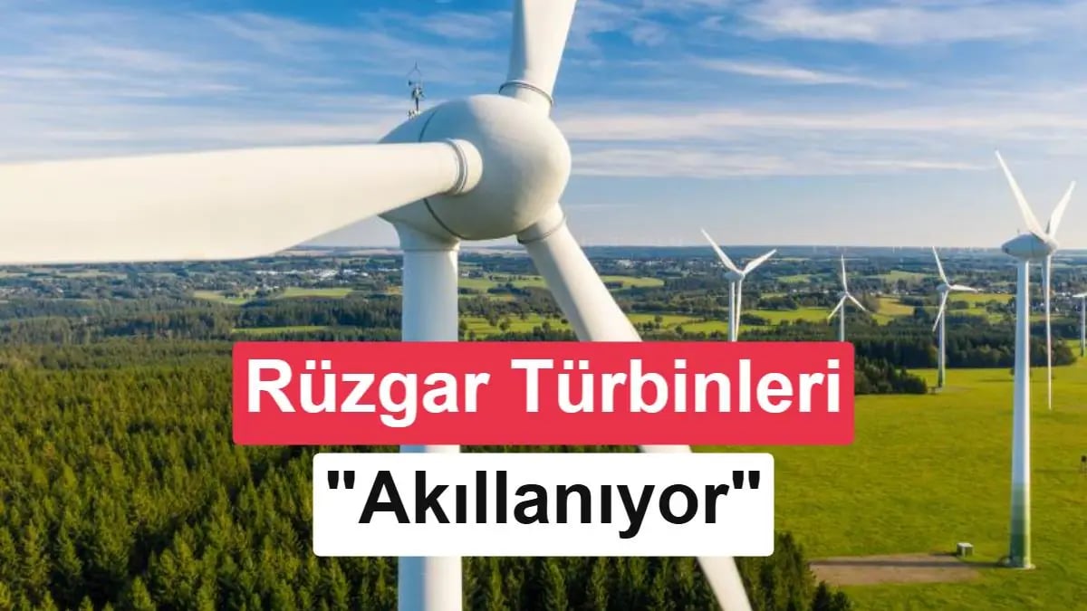 Rüzgar Türbinleri Devrim Yaşıyor: Kanatlar Artık 'Akıllı' ve Canlı