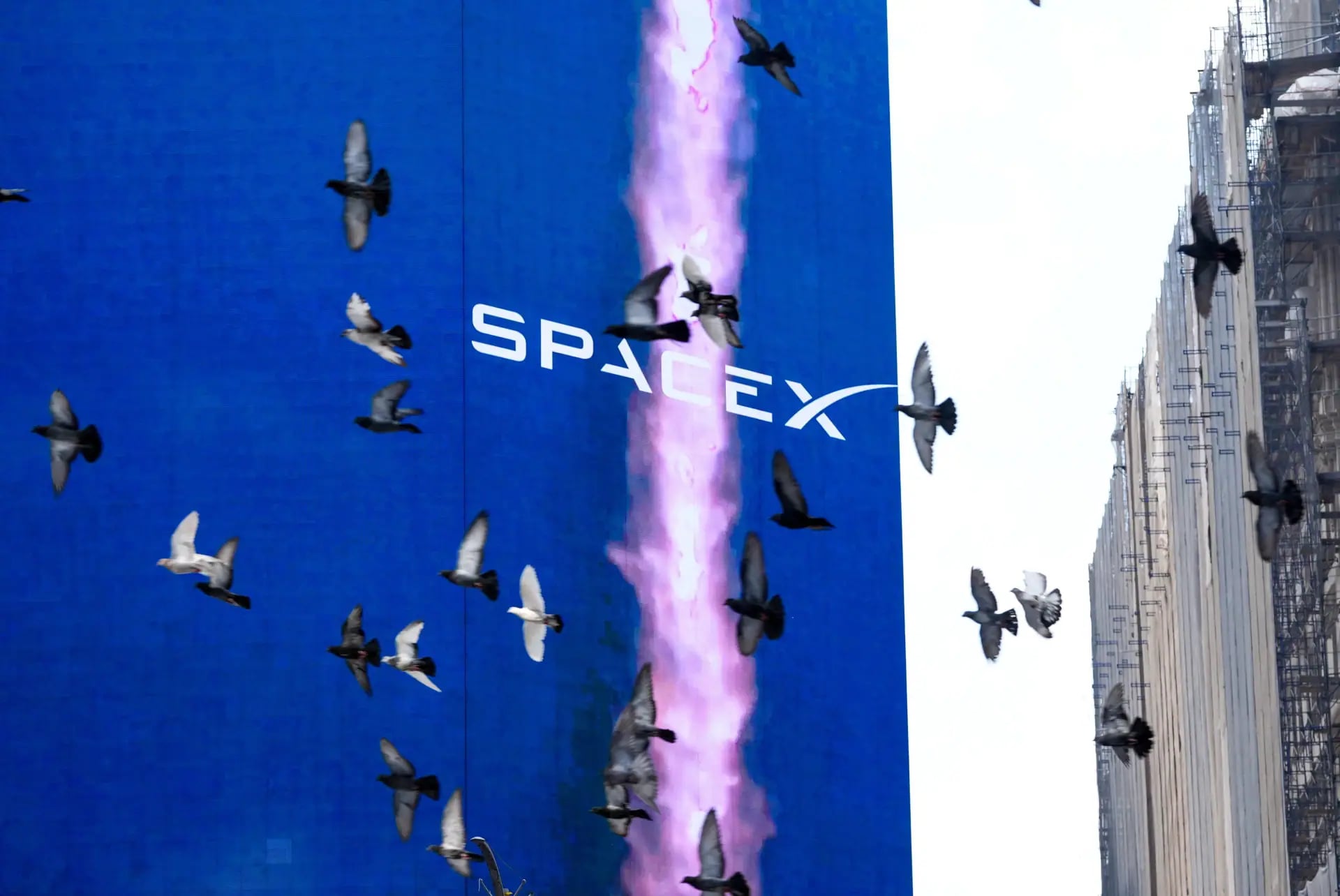 SpaceX Yeni Çeyrekte Rekor Zarar Paylaşacak
