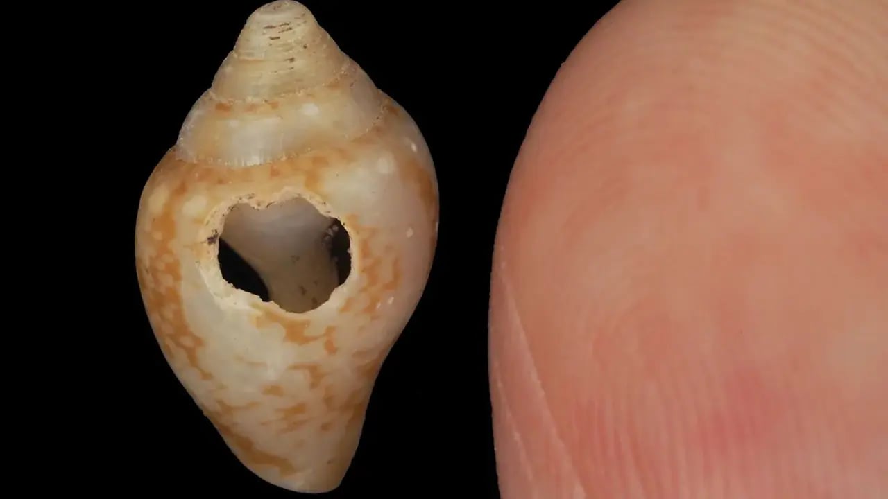 Üçağızlı II'de Tarihi Kanıt: Neandertaller ve Modern İnsanlar Buluştu