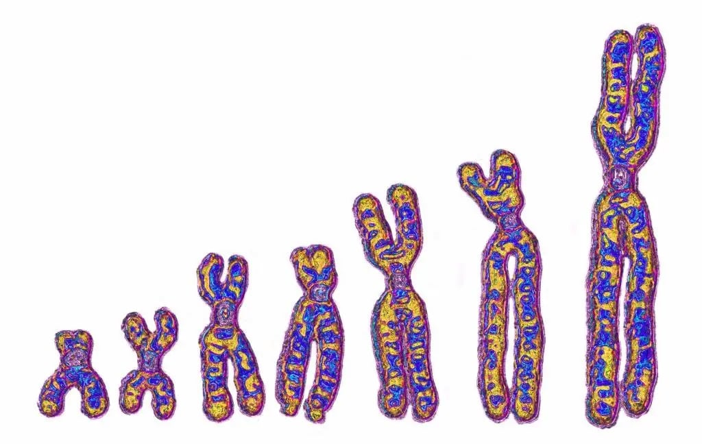 Afrika'da İz Bırakan Gizemli Nesiller: Mezar taşları DNA'mızda