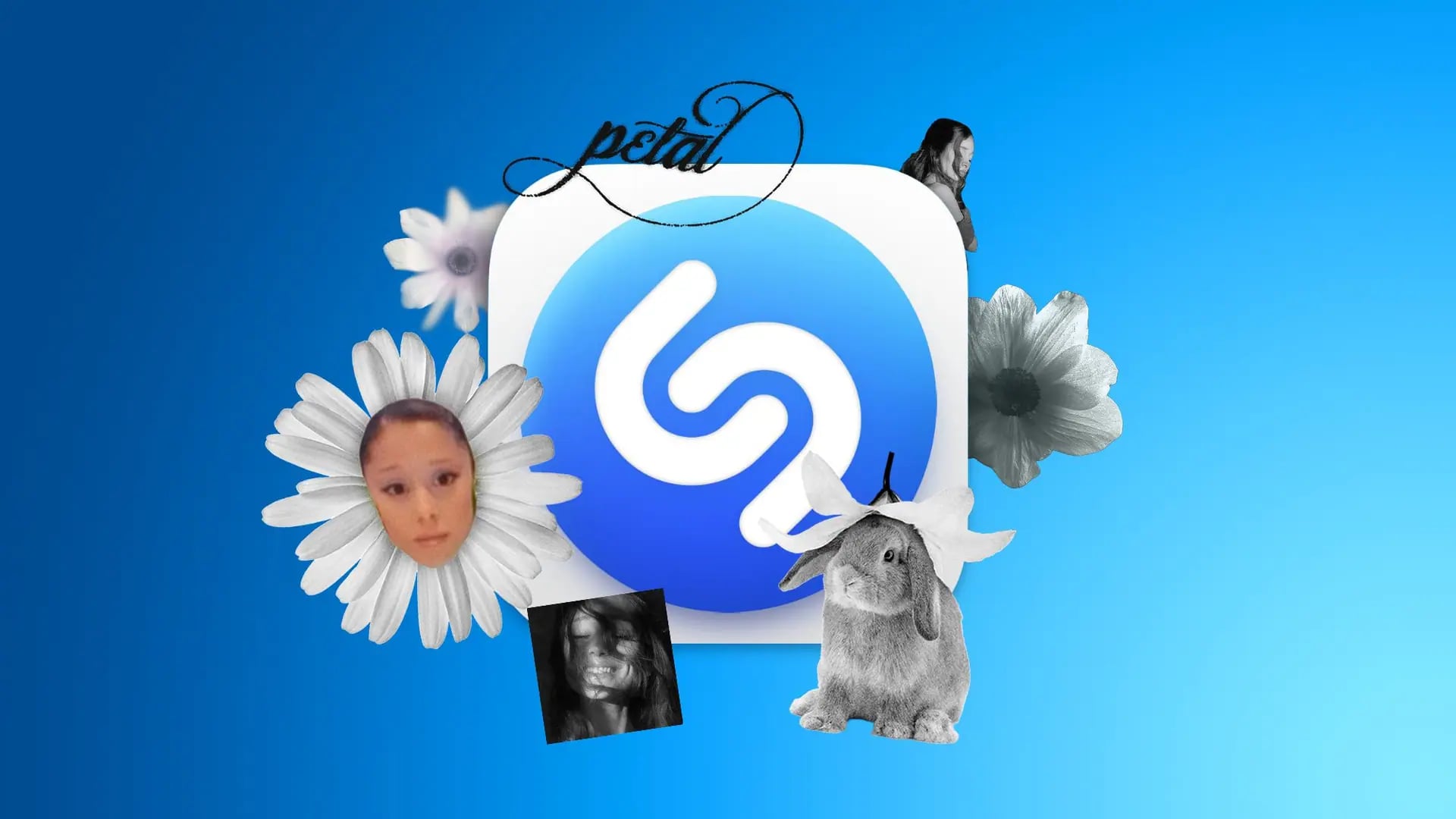 Apple'dan Yeni Sürüm: Shazam Artık Mesajlara Sticker Olarak Geliyor