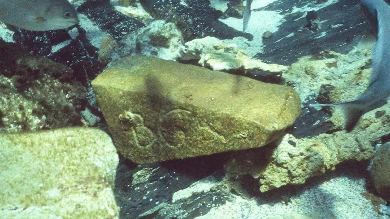 Bin Yıllık Deniz Sırrı Tarihin En Değerli Bilgilerini Ortaya Çıkardı