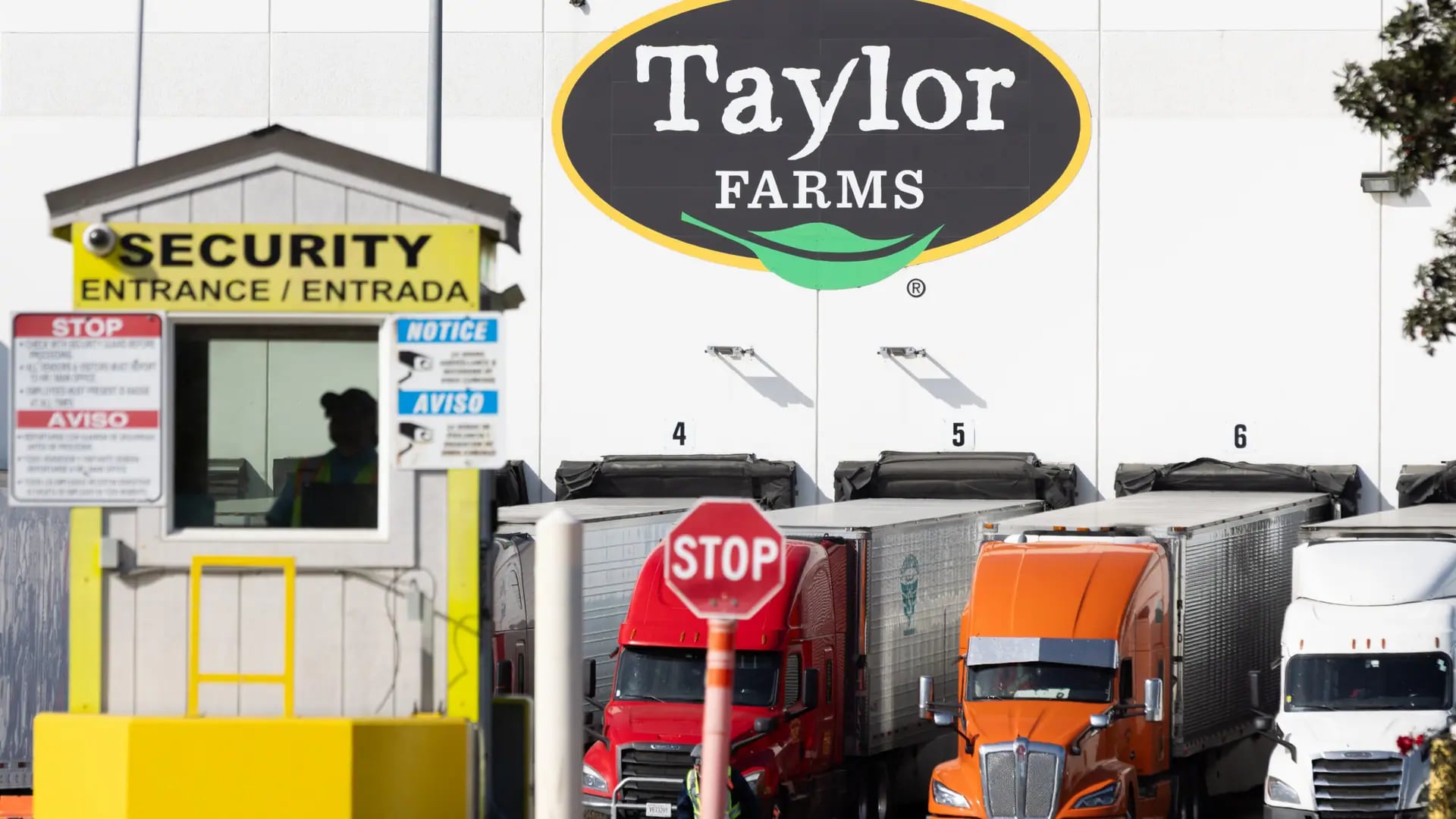 Çevrimler Arasında Taylor Farms Dev Ameliyatını Başarıyla Yönetiyor