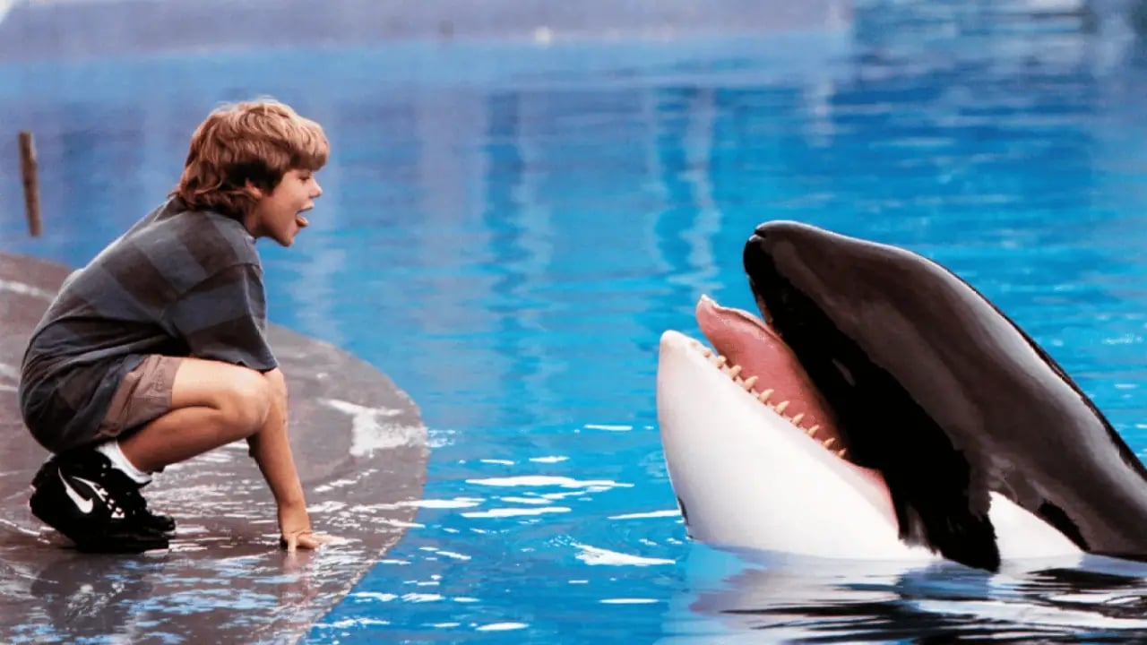 Deniz Efsanesi Tekrar Sinemalarda: Free Willy Yeniden Hayat Buluyor
