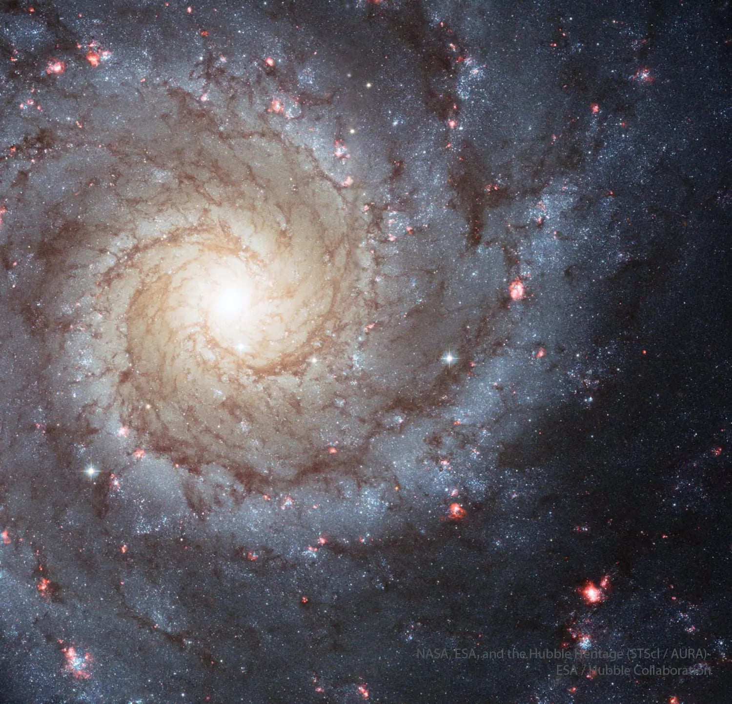 M74: Kozmosun En Fotojenik Spiral Galaksisi Hubble'ın Objektifinde