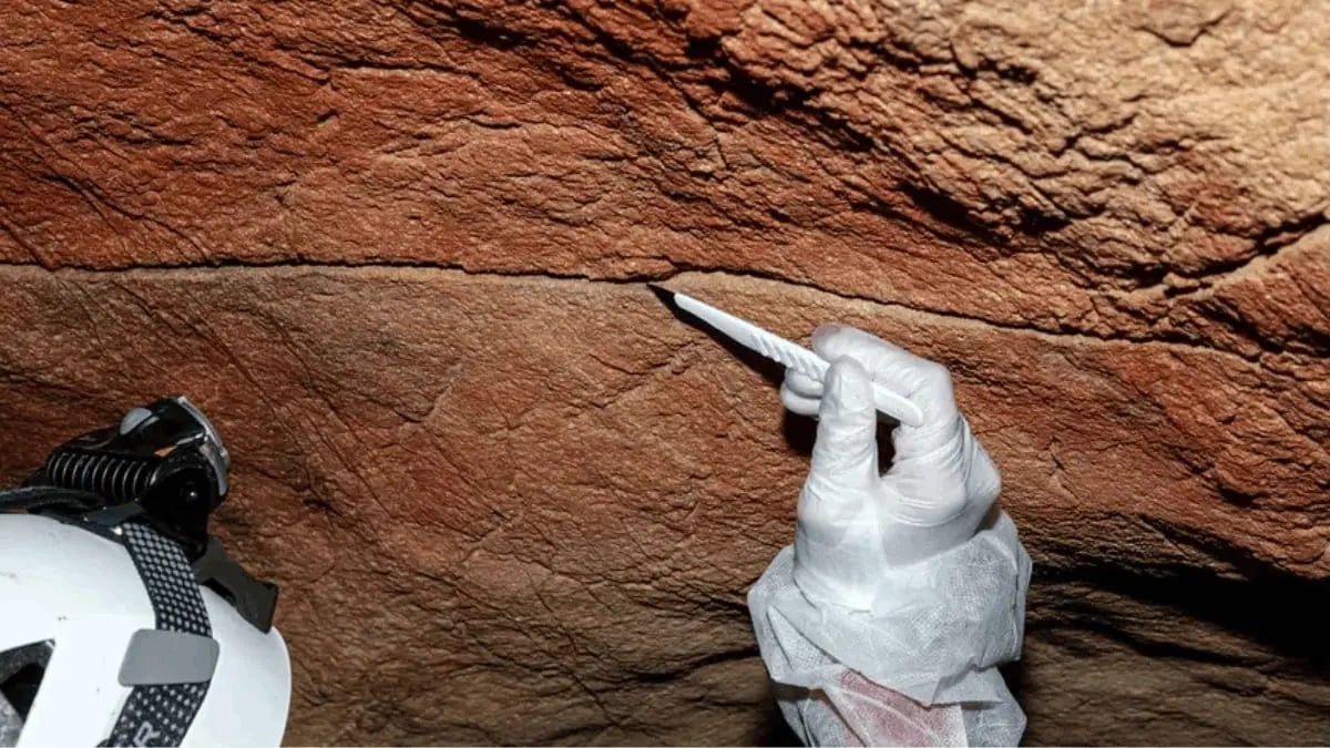 Mağara Duvarları Tarihin Sessiz Şahitleri: Antik DNA Keşfi