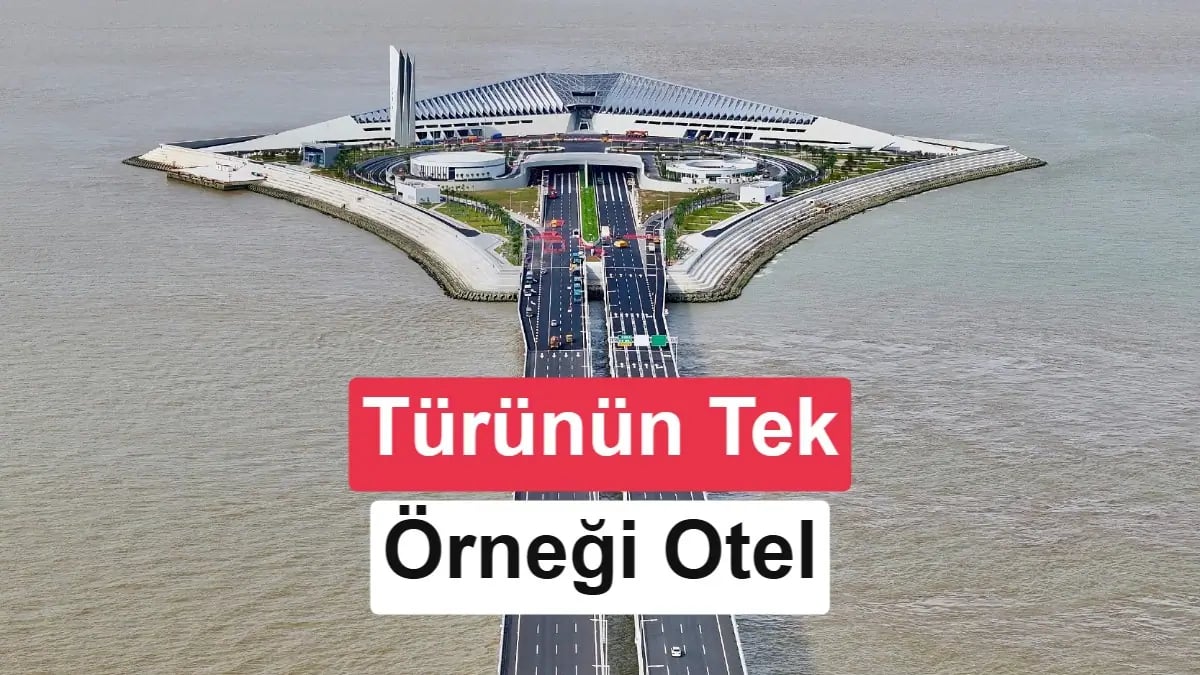 Misafirler Robotlara Teslim: Dünyanın İlk Tamamen Dijital Oteli Geliyor