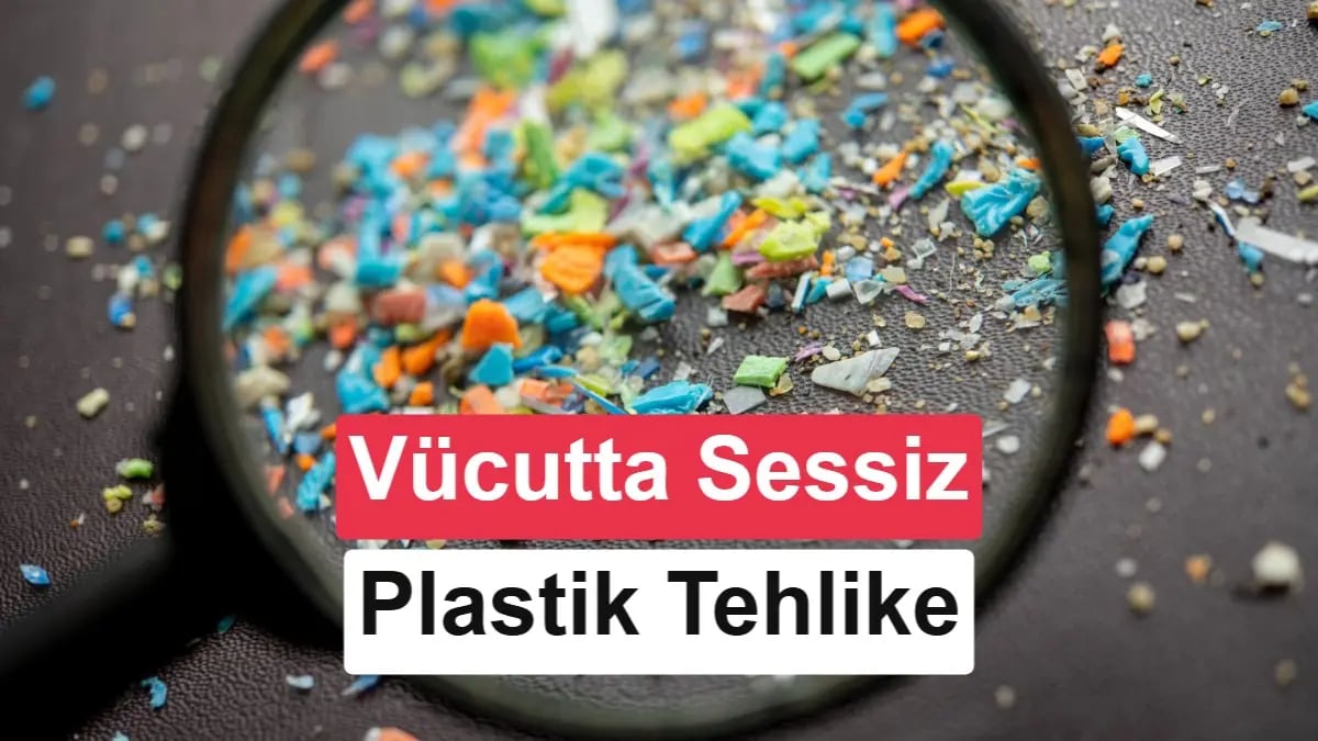Vücudumuzda Gizlenen Tehlike: Mikroplastikler Nasıl Takip Edildi?