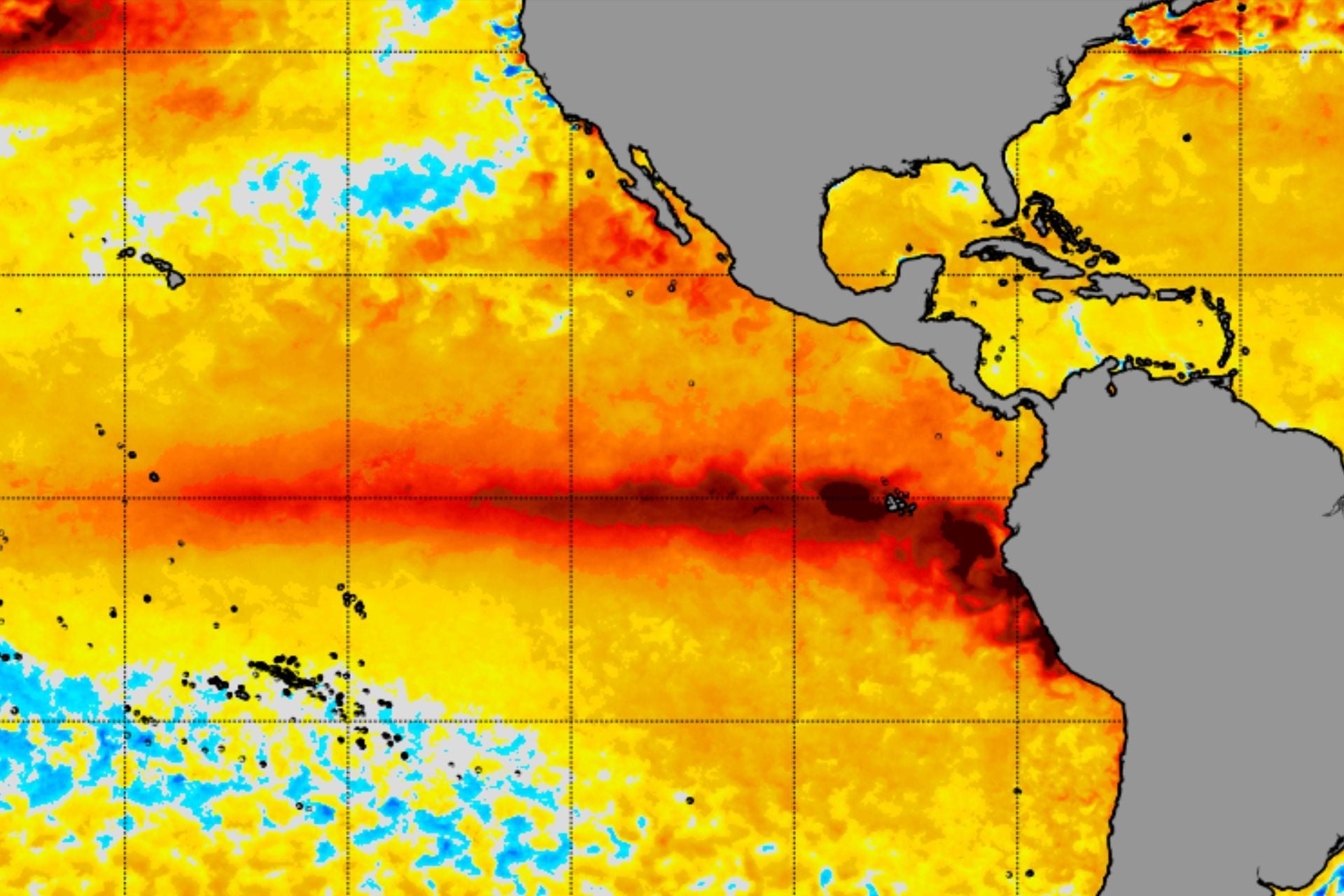 El Niño Tahminleri Rekorları Yeniyor: İklim Değişikliği Küresel Tehlikeyi Artırıyor