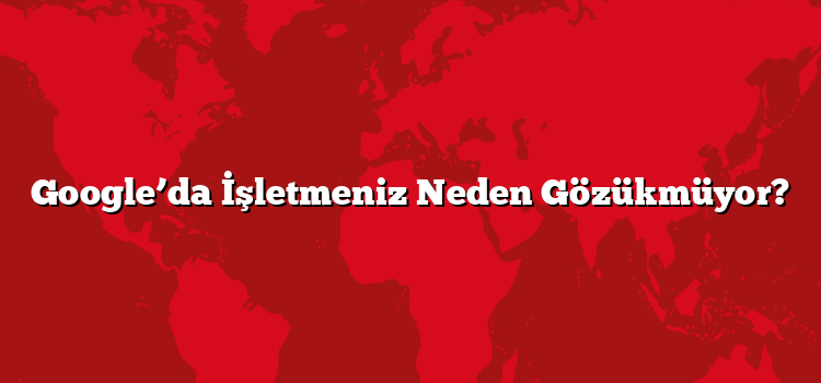 Google'ın Şakası: Ekranınızı Koşturan Sevgili Rakun Jimothy Sırrı