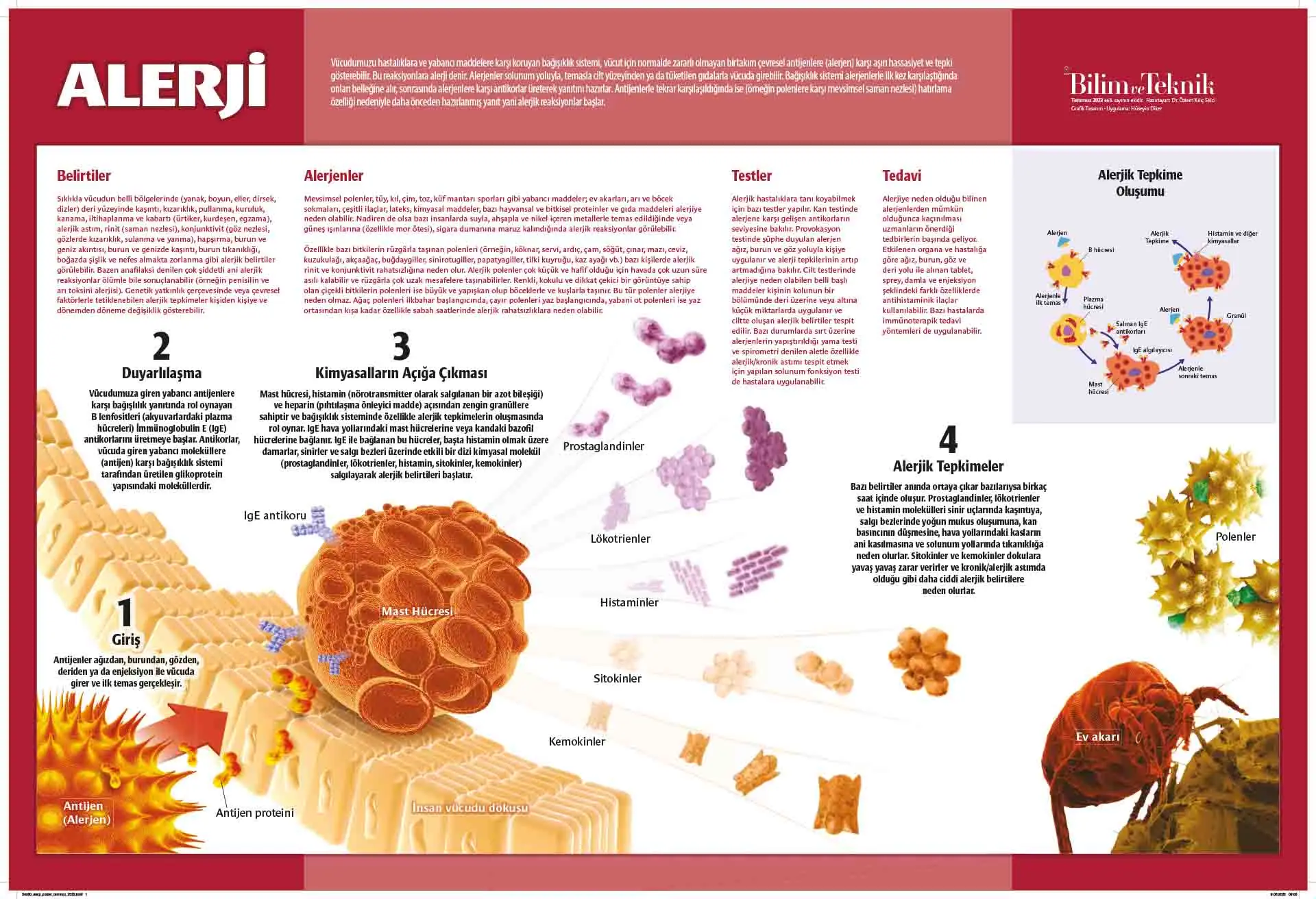 CRISPR İle Üretilen Hipotalmik Bebekler, Evde Alerjen Sorununa Çözüm Getiriyor