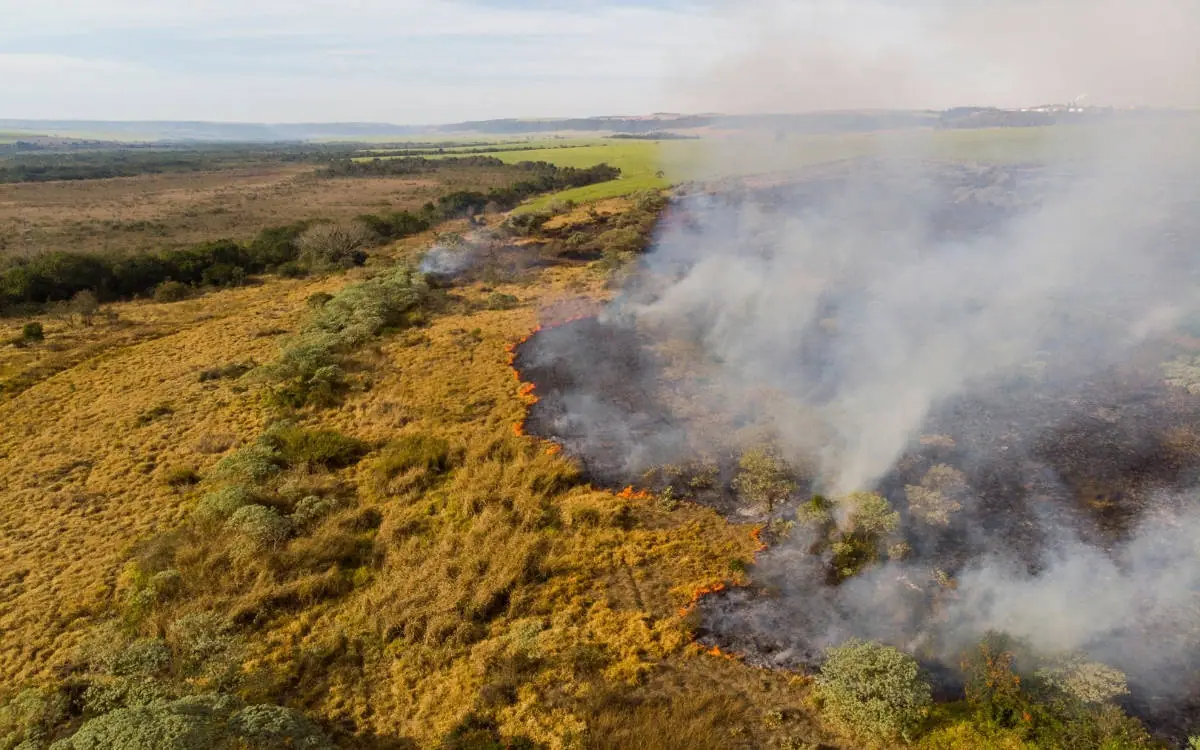 Wildfire Smoke Tehlikeleri ve Kritik Risk Grupları Ortaya Çıktı